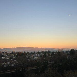 Meet your Posher, Layla